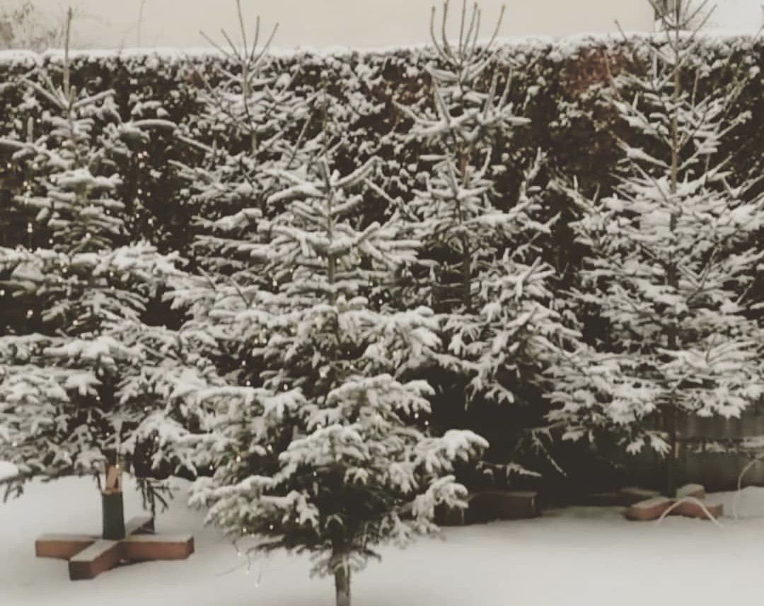 winterzauberbearbeitet