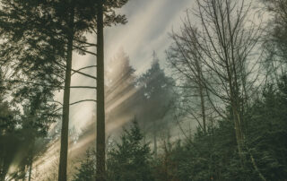 UMWELTBEWUSSTE AUSZEIT IM ERMSTAL